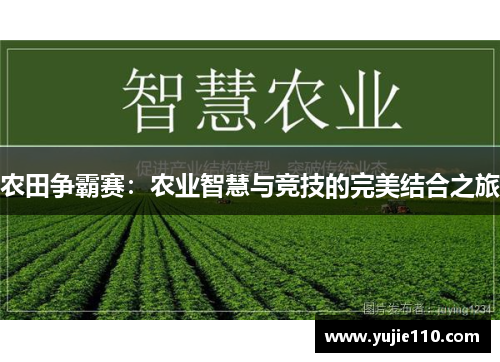 农田争霸赛：农业智慧与竞技的完美结合之旅