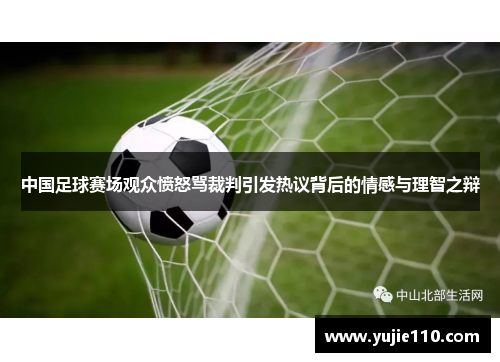 中国足球赛场观众愤怒骂裁判引发热议背后的情感与理智之辩